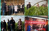 現(xiàn)代農(nóng)業(yè)技術(shù)系開展“喜迎己亥新春佳節(jié)、送科技送文化下鄉(xiāng)”主題黨日活動(dòng)